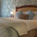 酒店 基尔肯尼河苑酒店 4*